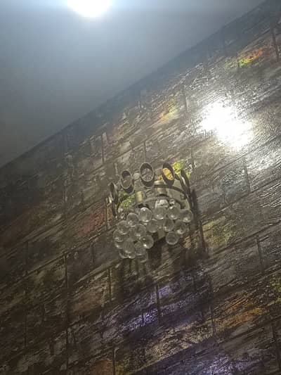 Used fanus wel can condition on