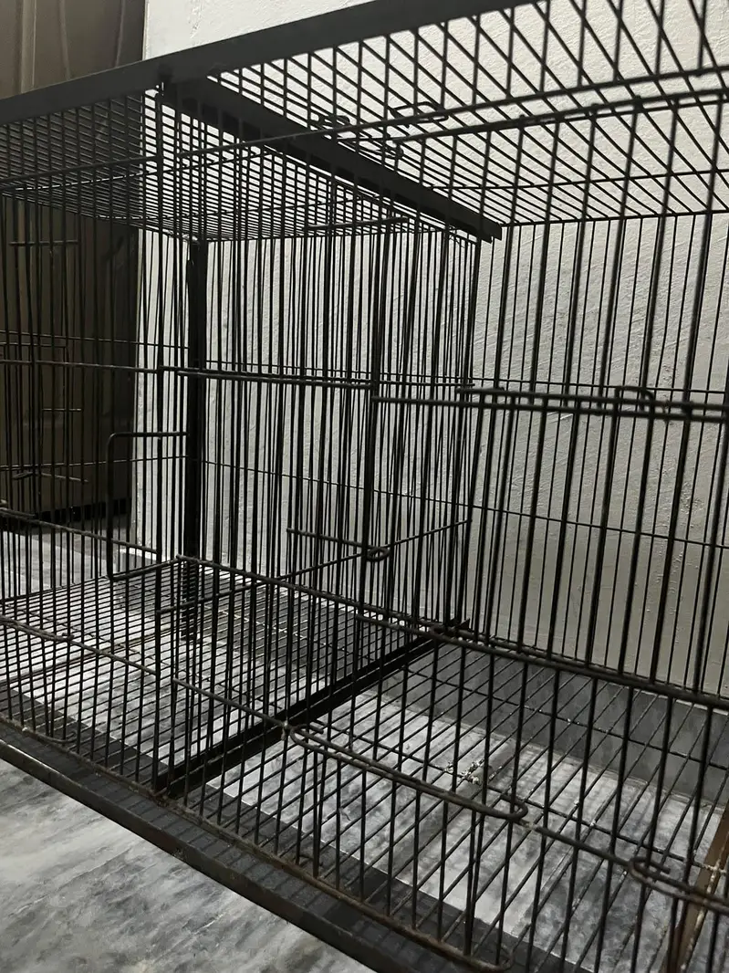 Durable Metal bird cage| easy to clean |Black color| cage for parrots — photo 2