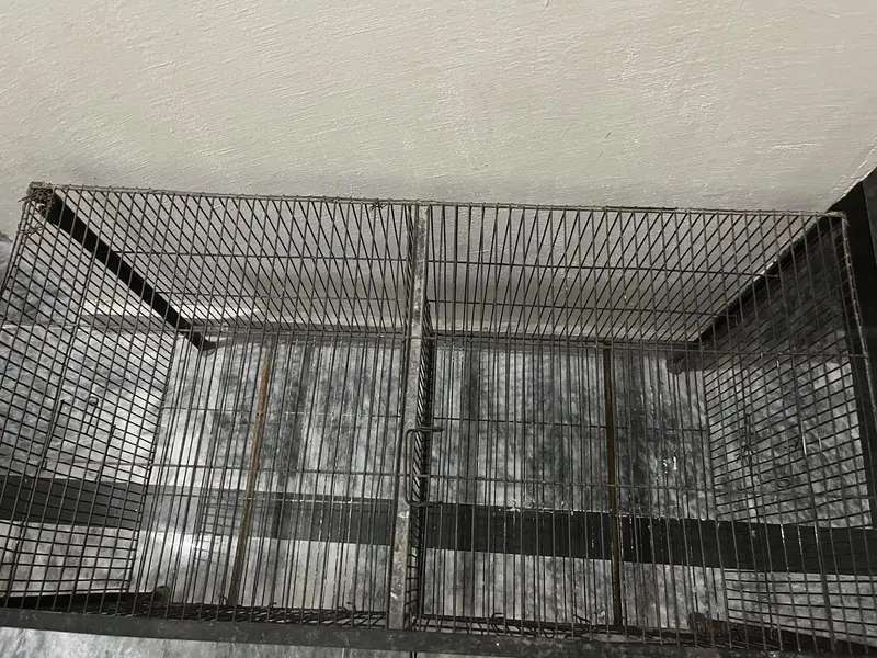 Durable Metal bird cage| easy to clean |Black color| cage for parrots — photo 3