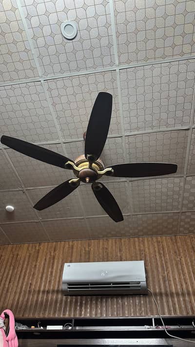 Celing Fan Royal fan Ac/Dc