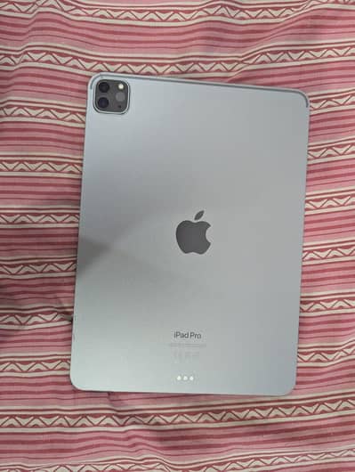 Apple iPad Pro M2 (11-inch) Space Grey - Scratchless Condition