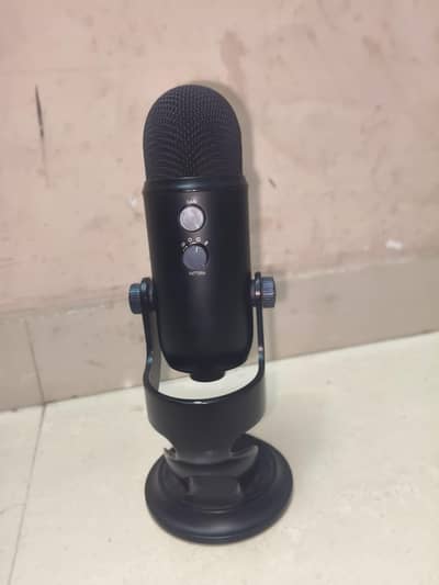 Podcast mic