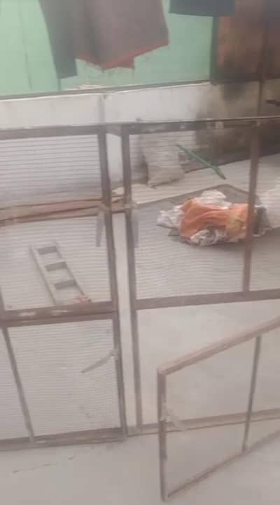 Hens Frame For Sale