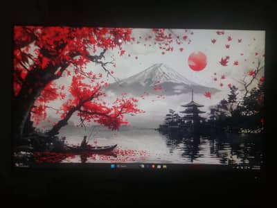 HP 24" Bezel-less IPS Monitor