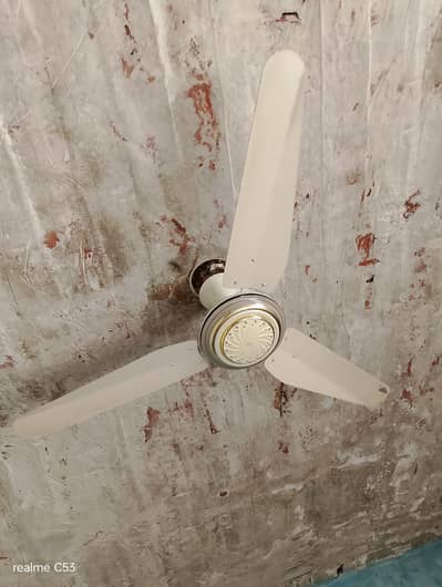 Fan for sale