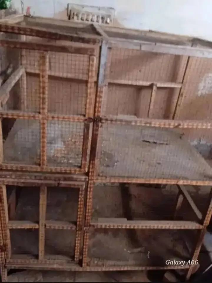 double portions hen cage — photo 6
