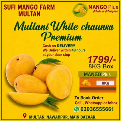 premium white chunsa  available 8kg box delivery allover pak