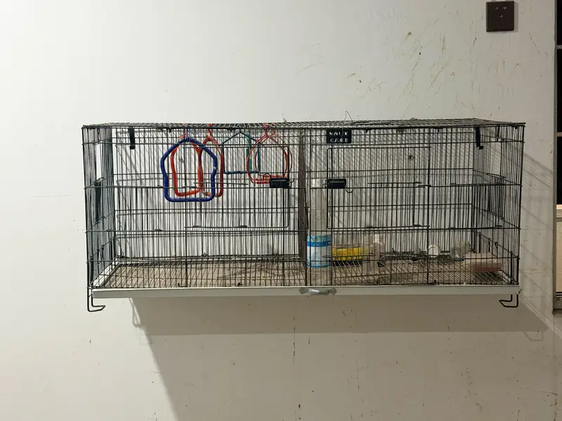 Large cage have 4 breeding box openings and breeding box available — photo 2