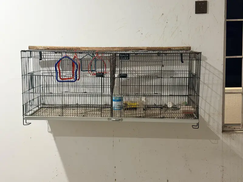Large cage have 4 breeding box openings and breeding box available — photo 3
