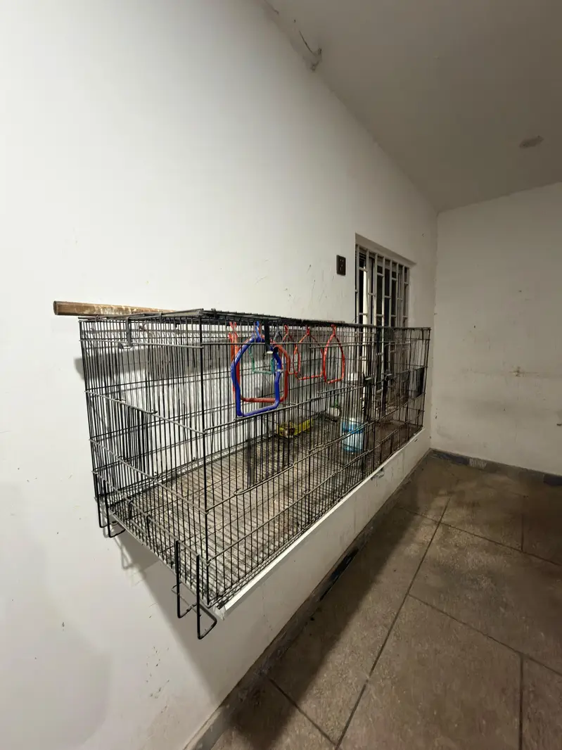 Large cage have 4 breeding box openings and breeding box available — photo 5