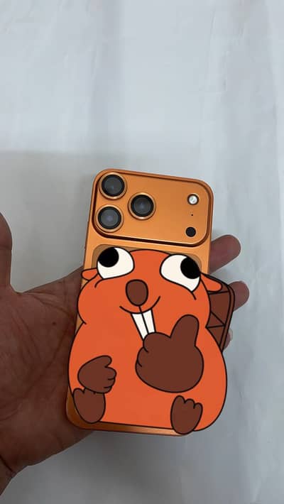 Iphone 11 convert to 17 Pro
