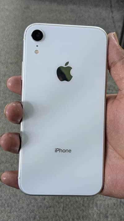 iPhone XR