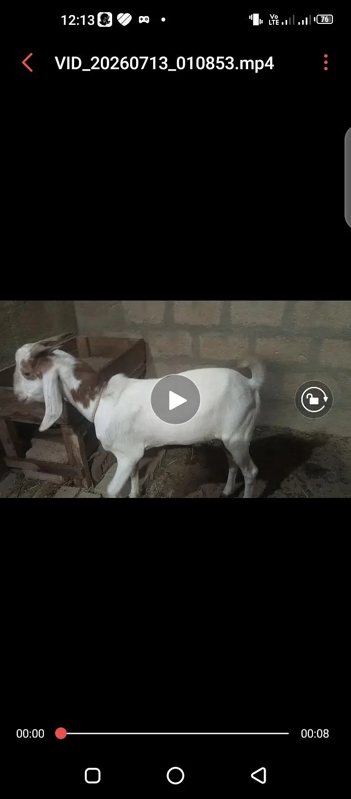 Bakra aondu ha — photo 4