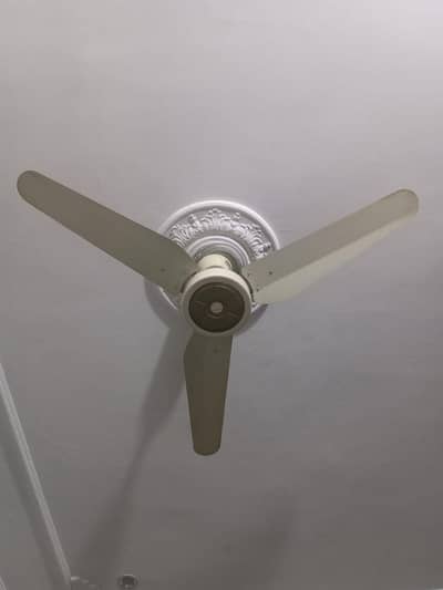 Ceiling fans for sale
