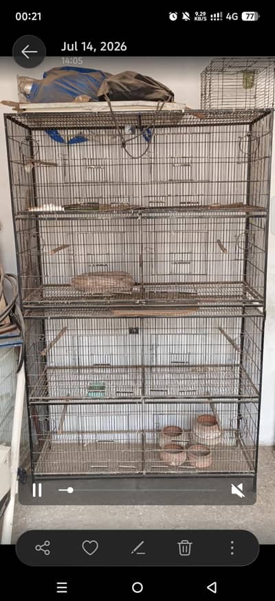 cage for birds