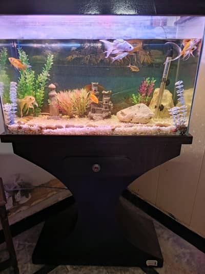 2.5 fts fish Aquarium complete set with fish