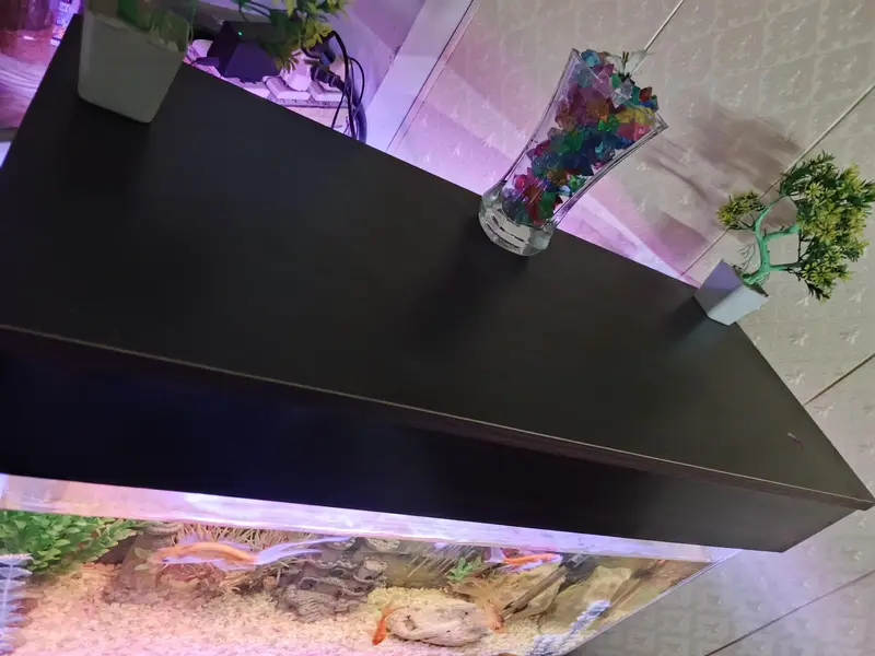 2.5 fts fish Aquarium complete set with fish — photo 5