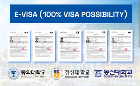 South Korea Visit Visa Available
