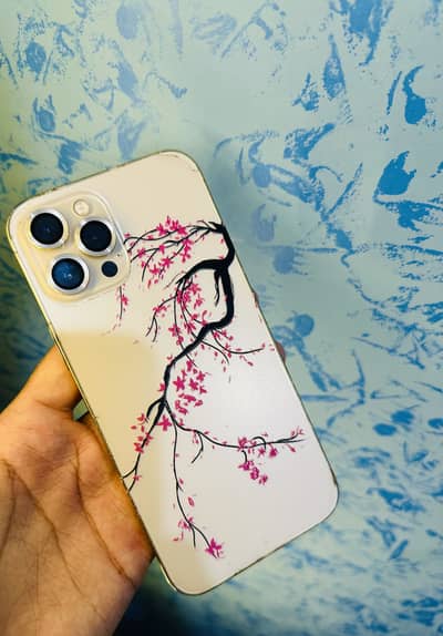 iPhone 12 Pro Max Dual Physical Approved