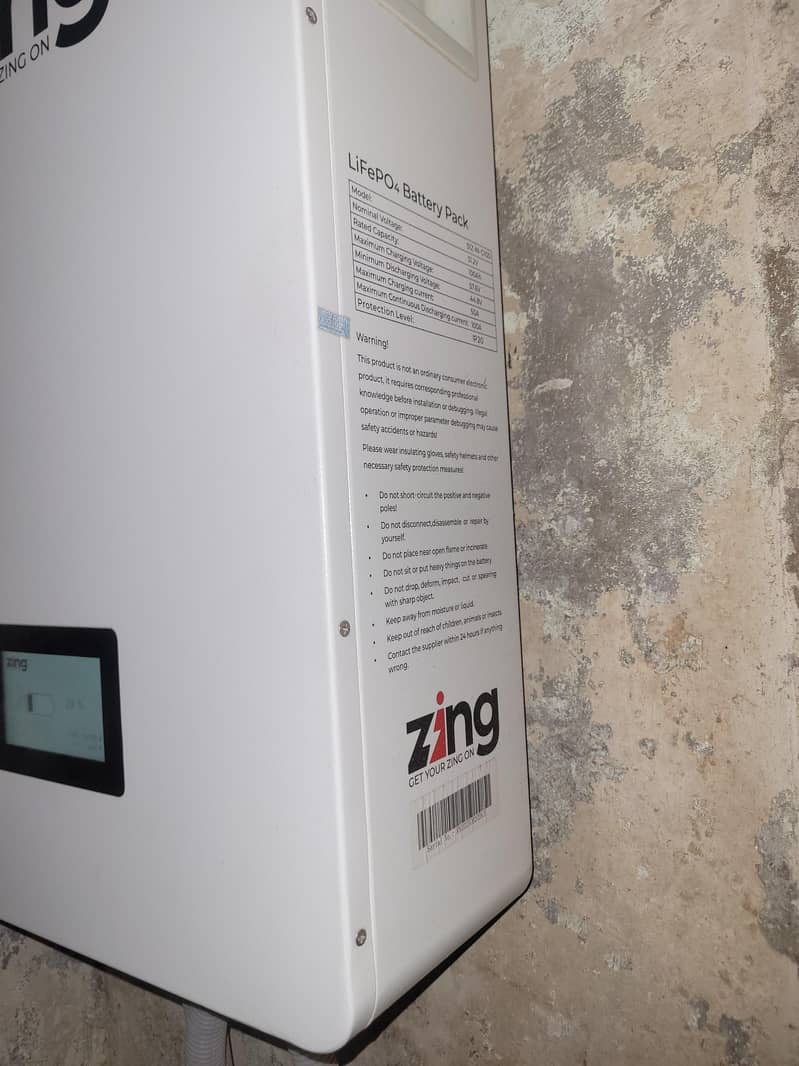 zing battery 1