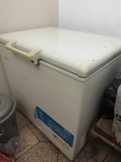 Haier freezer