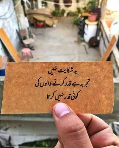 Chaudhary Sheraz