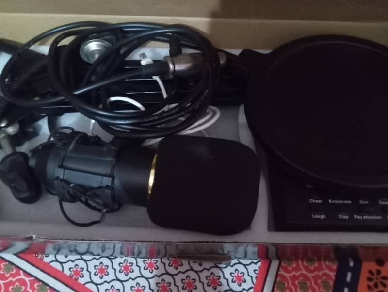 microphone 0