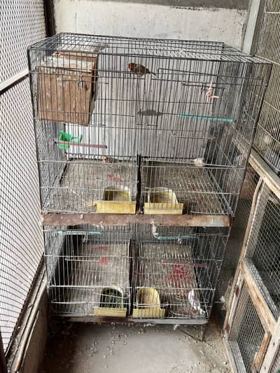 Cage or handi  for sale