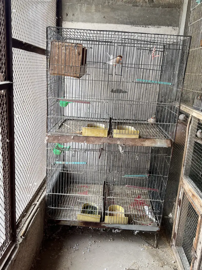 Cage or handi  for sale — photo 2
