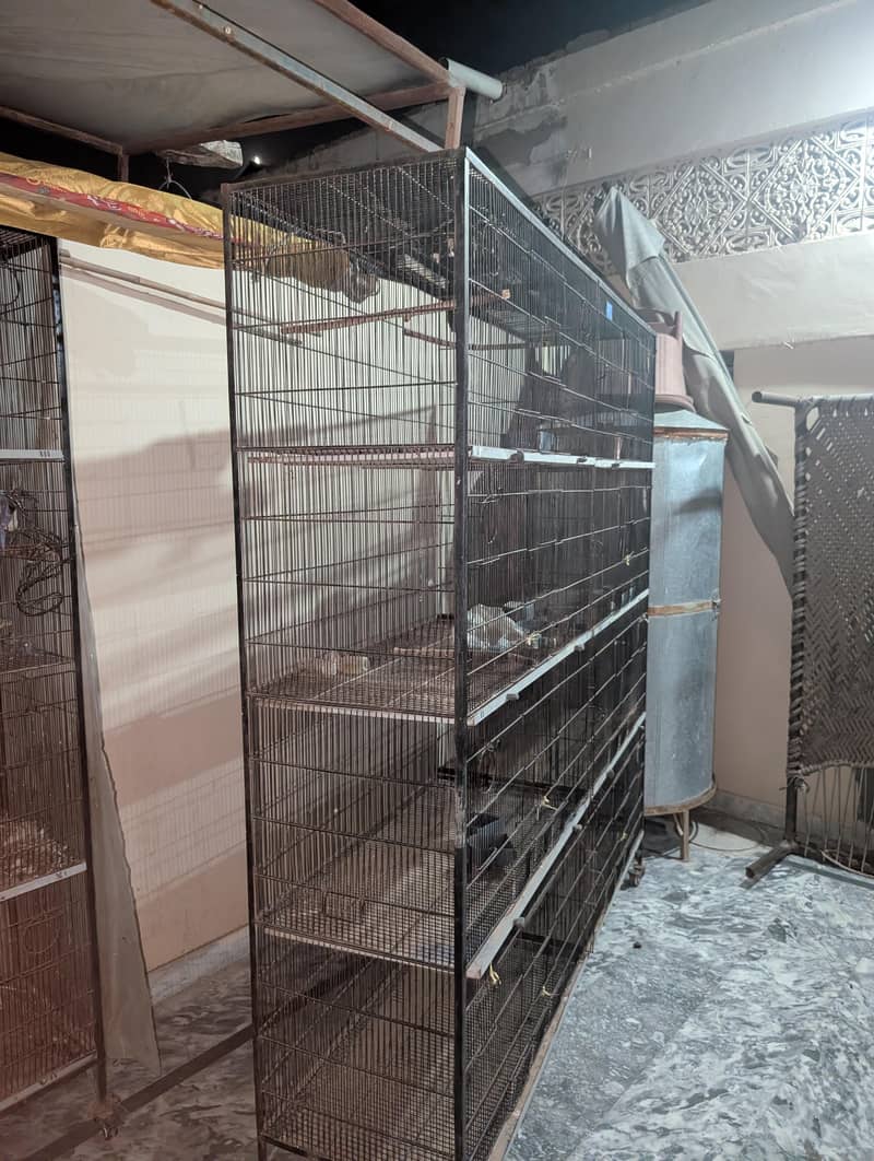 Portion Cage 1