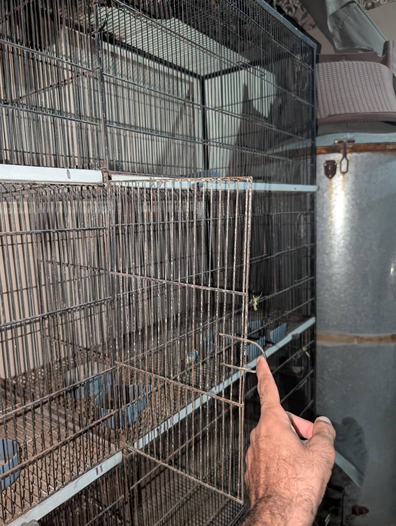 Portion Cage 2