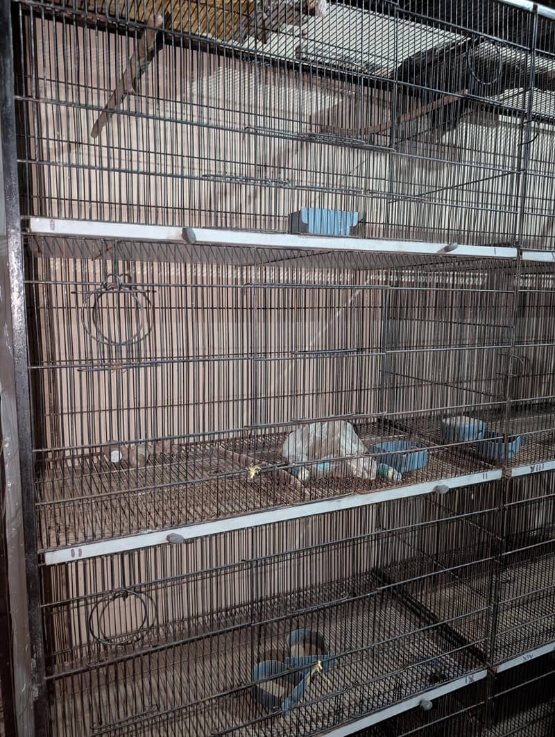 Portion Cage 3