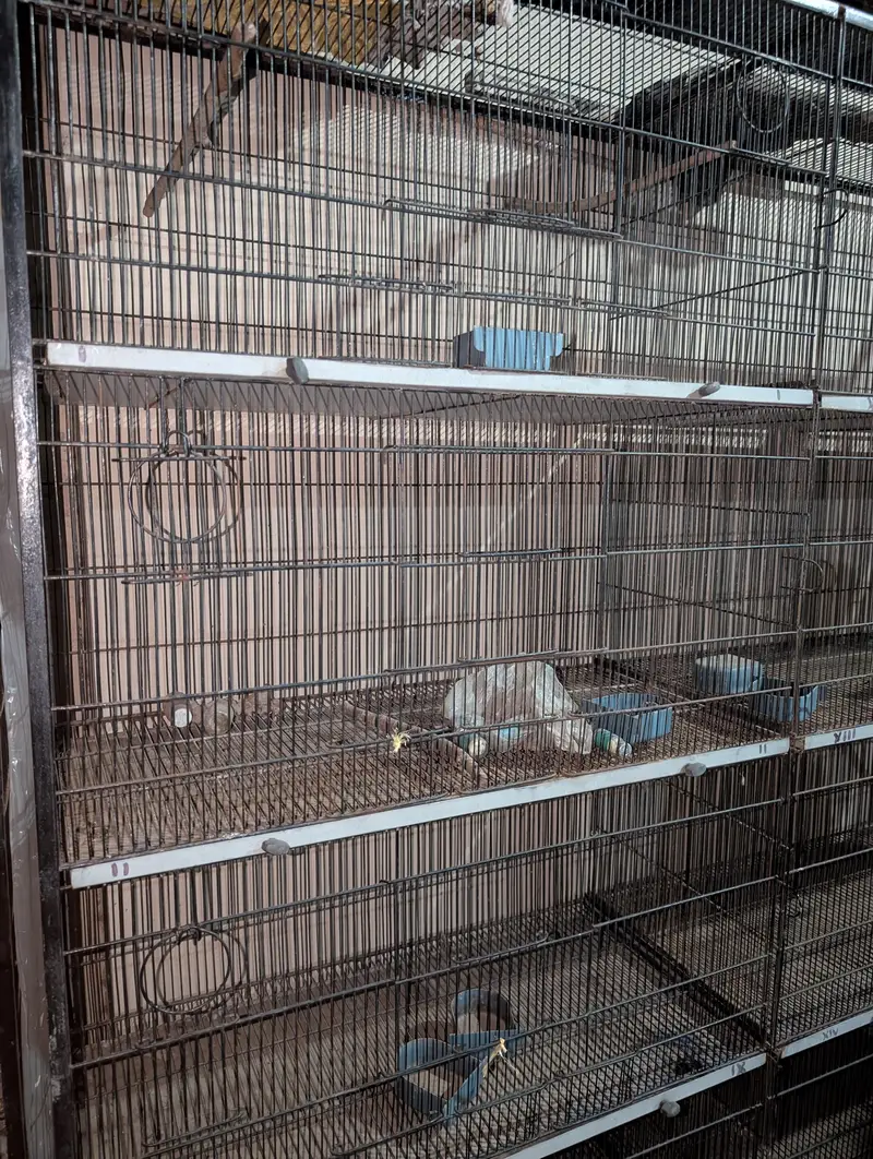 Portion Cage — photo 4