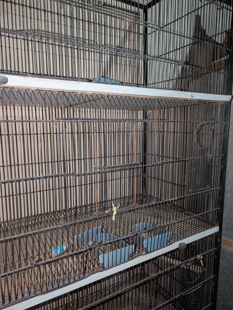 Portion Cage 4