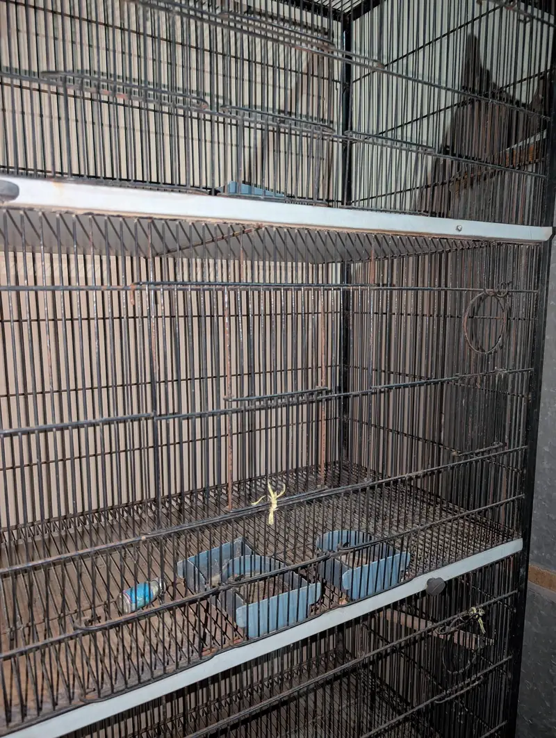 Portion Cage — photo 5
