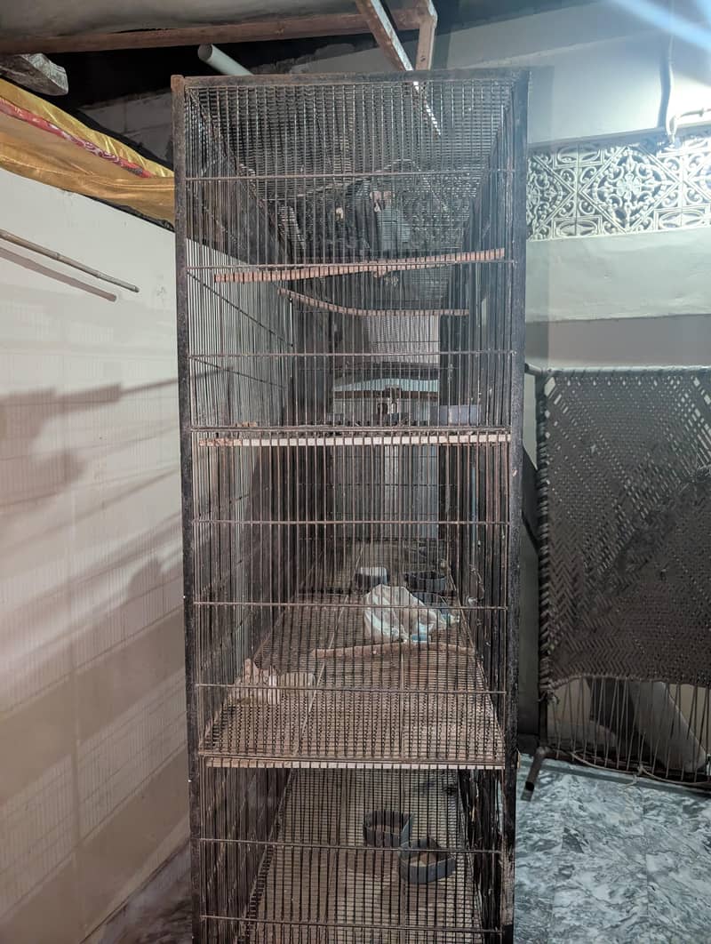 Portion Cage 5