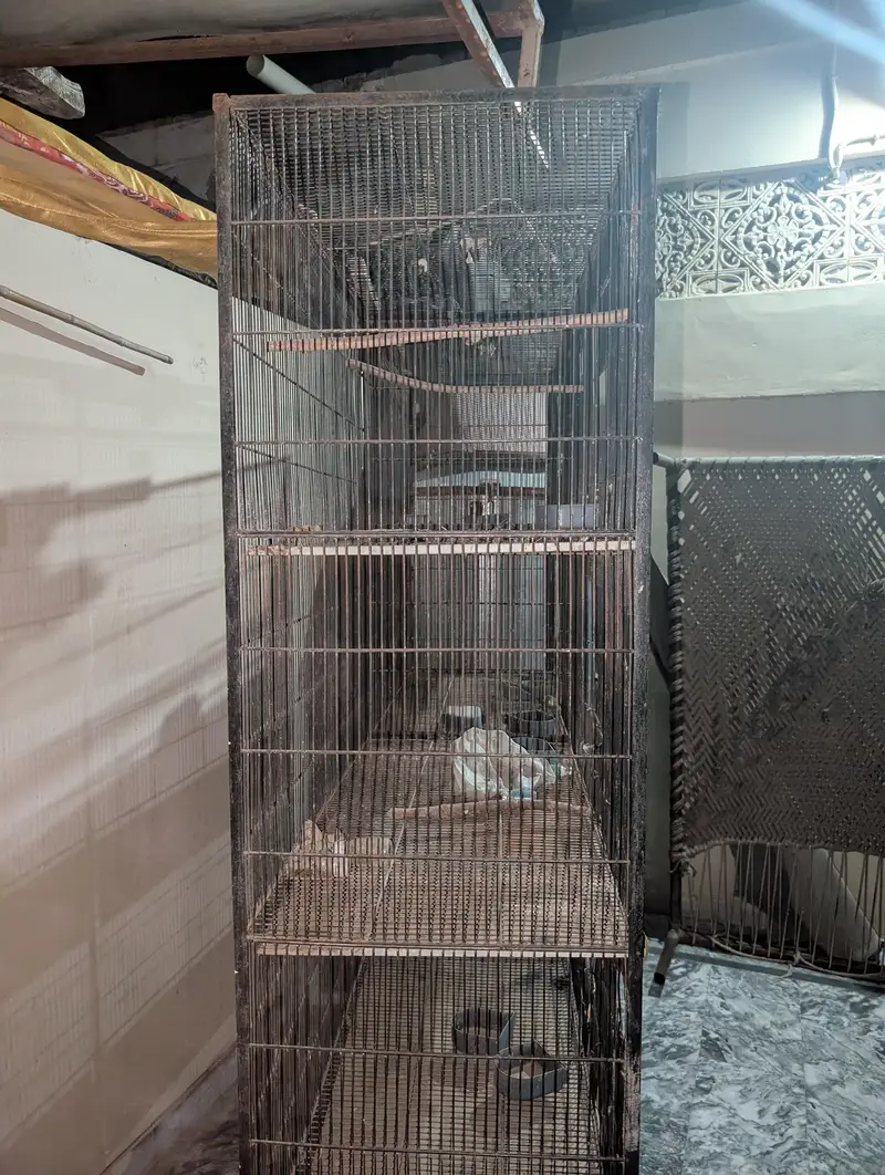 Portion Cage — photo 6