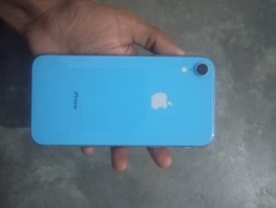Apple xr