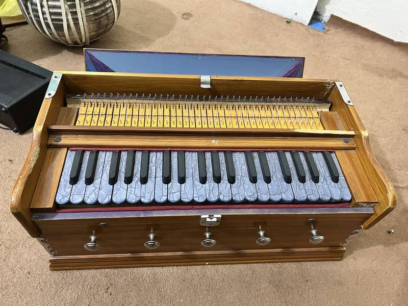 Indian harmonium 1