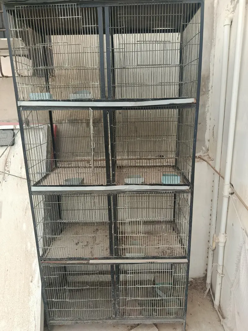 cage for sale