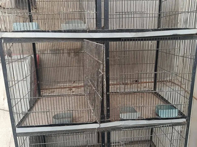 cage for sale — photo 2