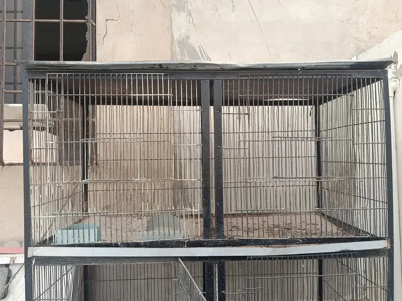 cage for sale — photo 3