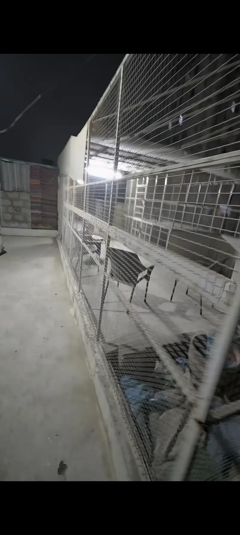 Master cage — photo 2