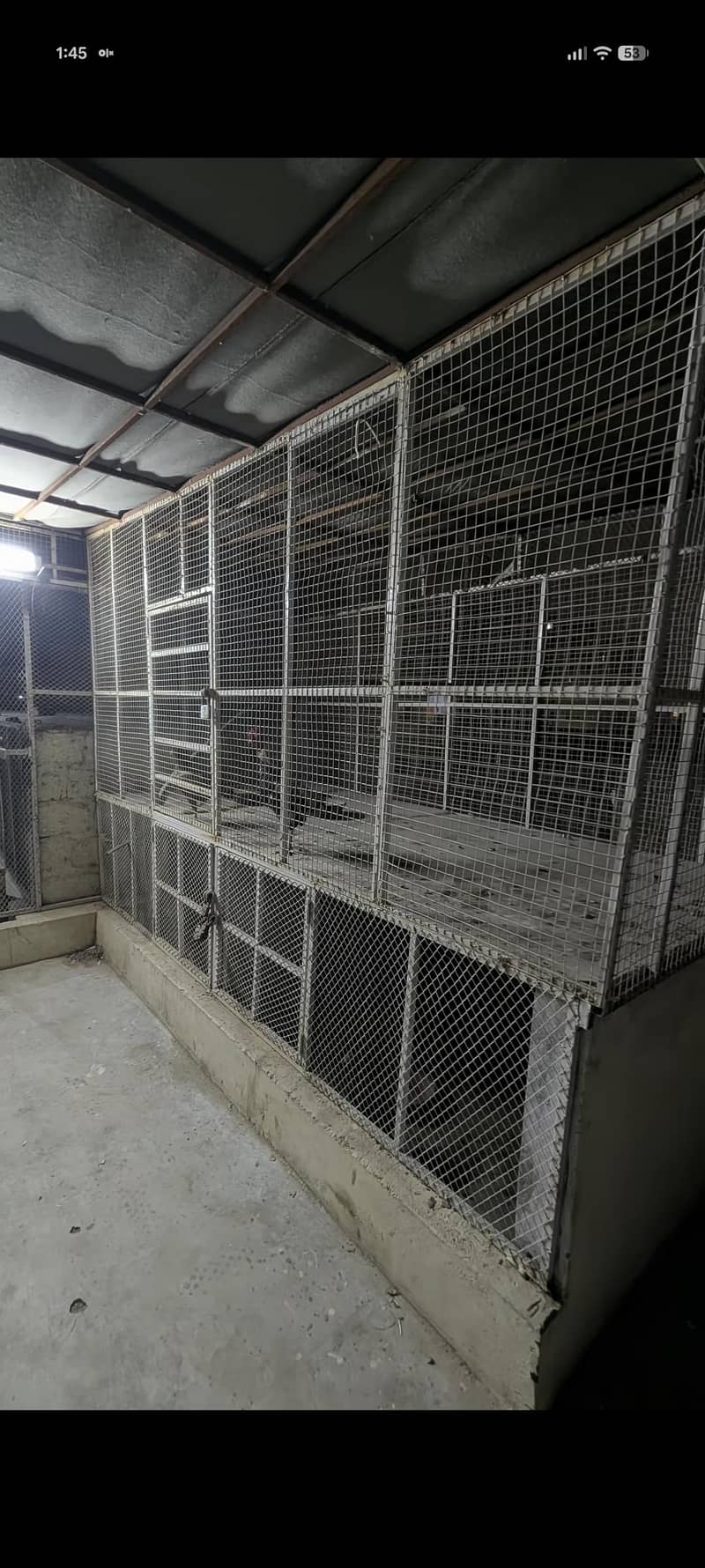 Master cage 3