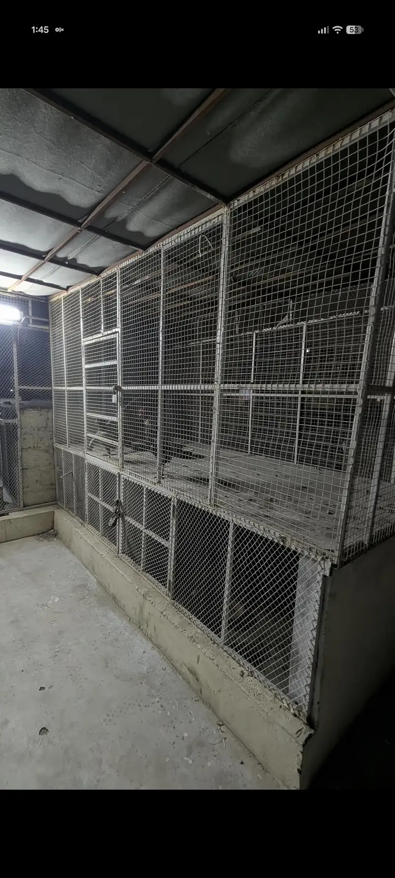 Master cage — photo 4