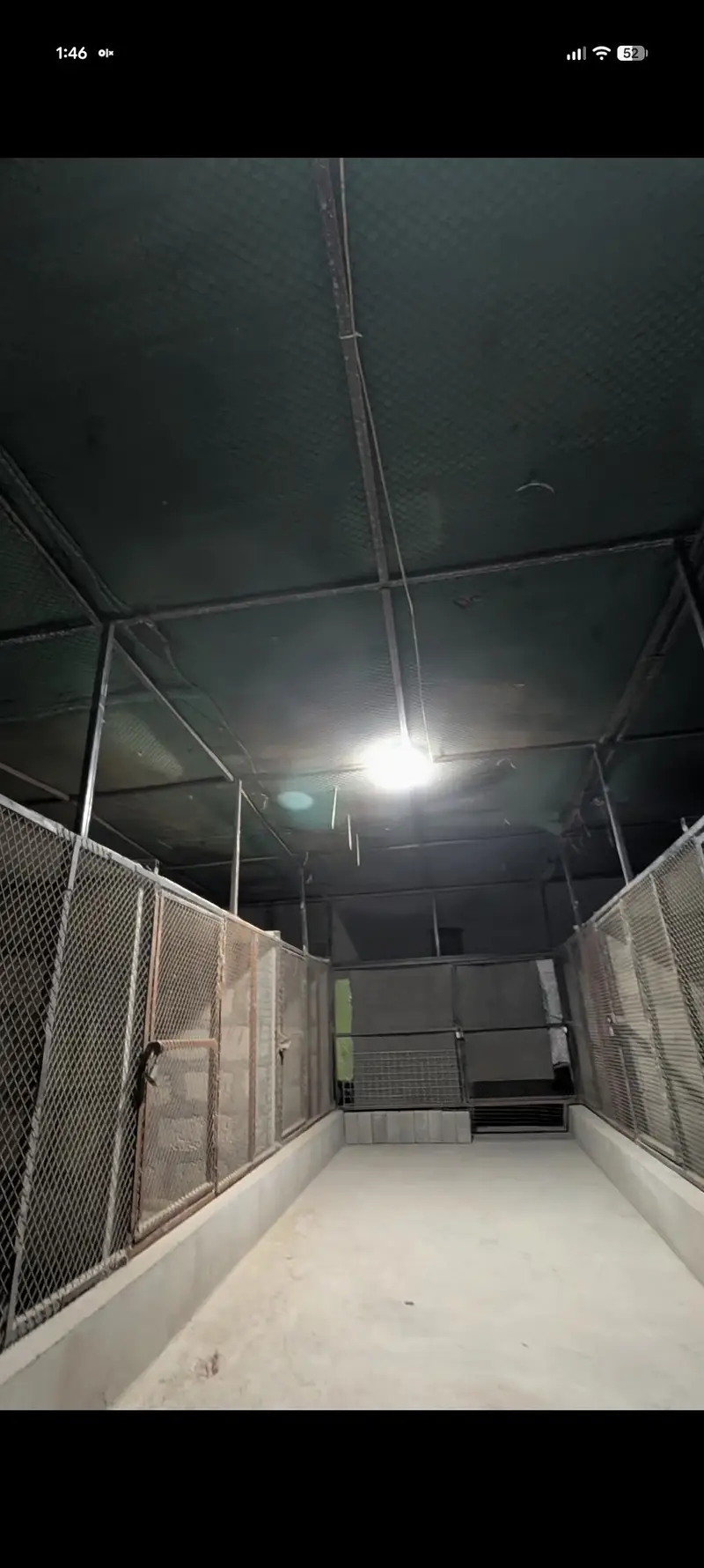 Master cage — photo 5