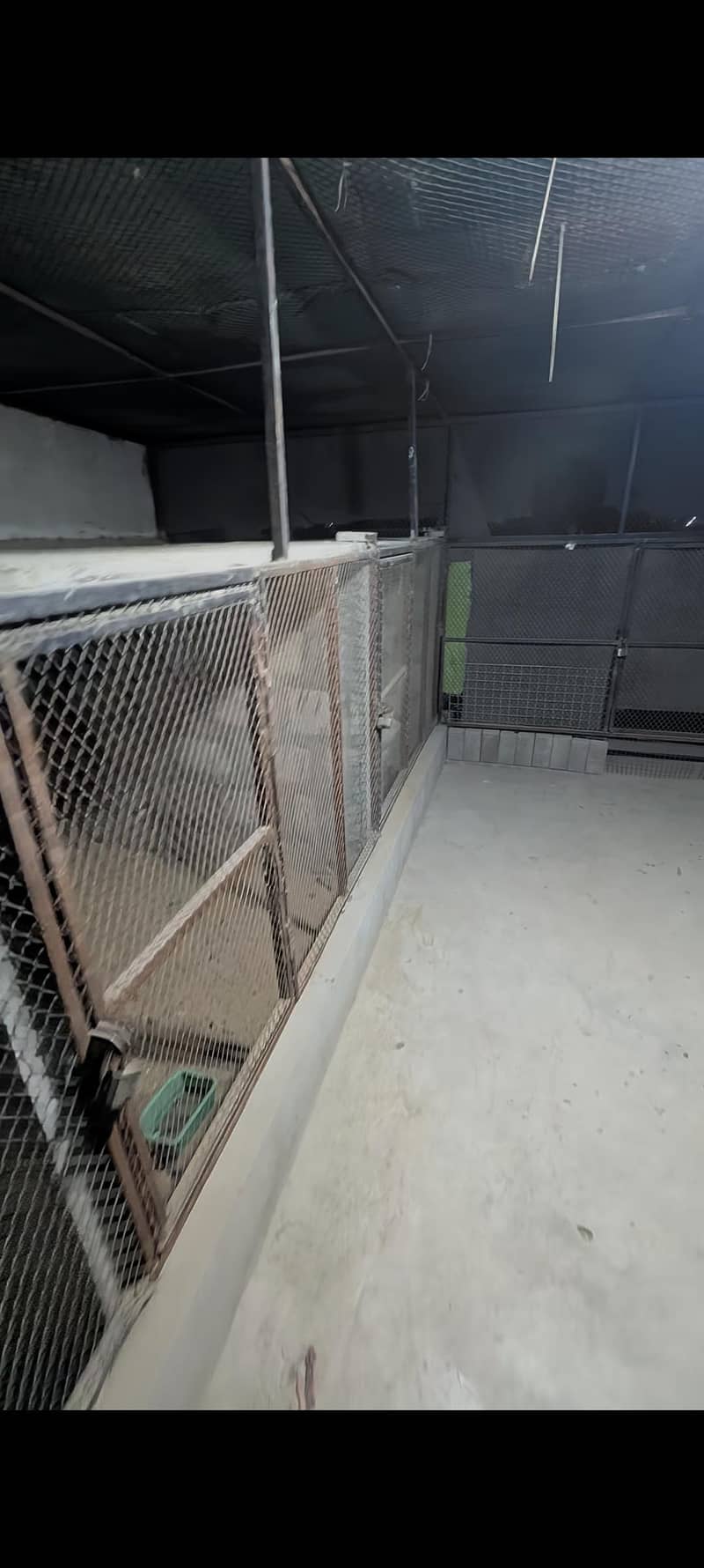 Master cage 5