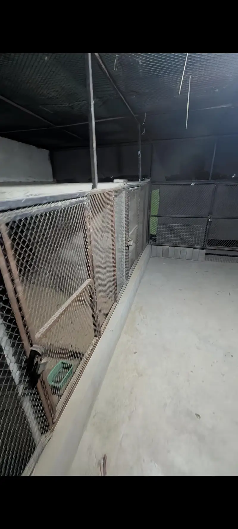 Master cage — photo 6