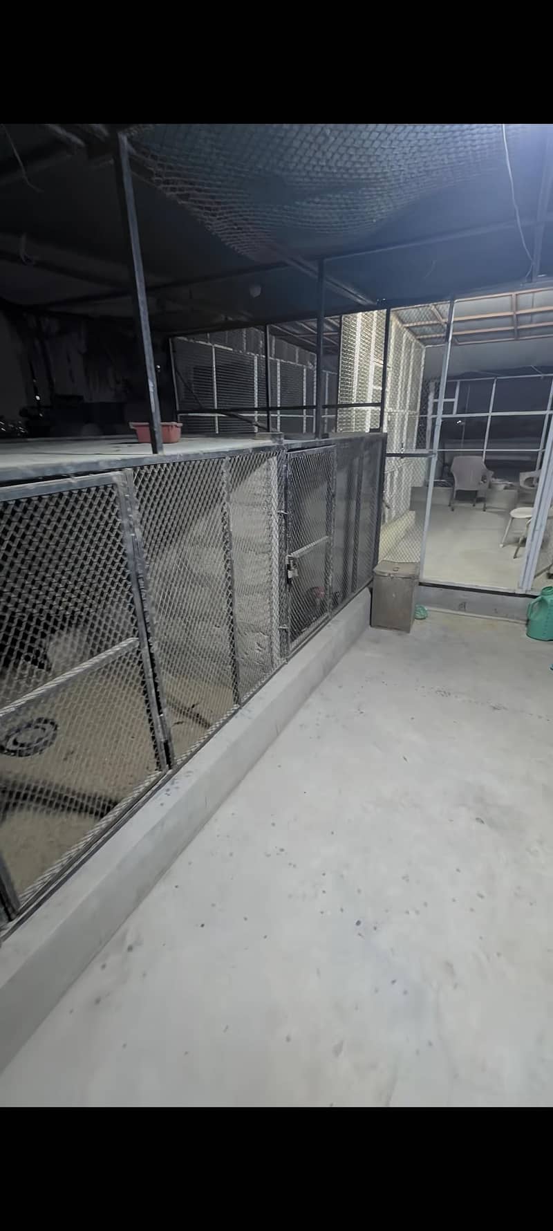 Master cage 6