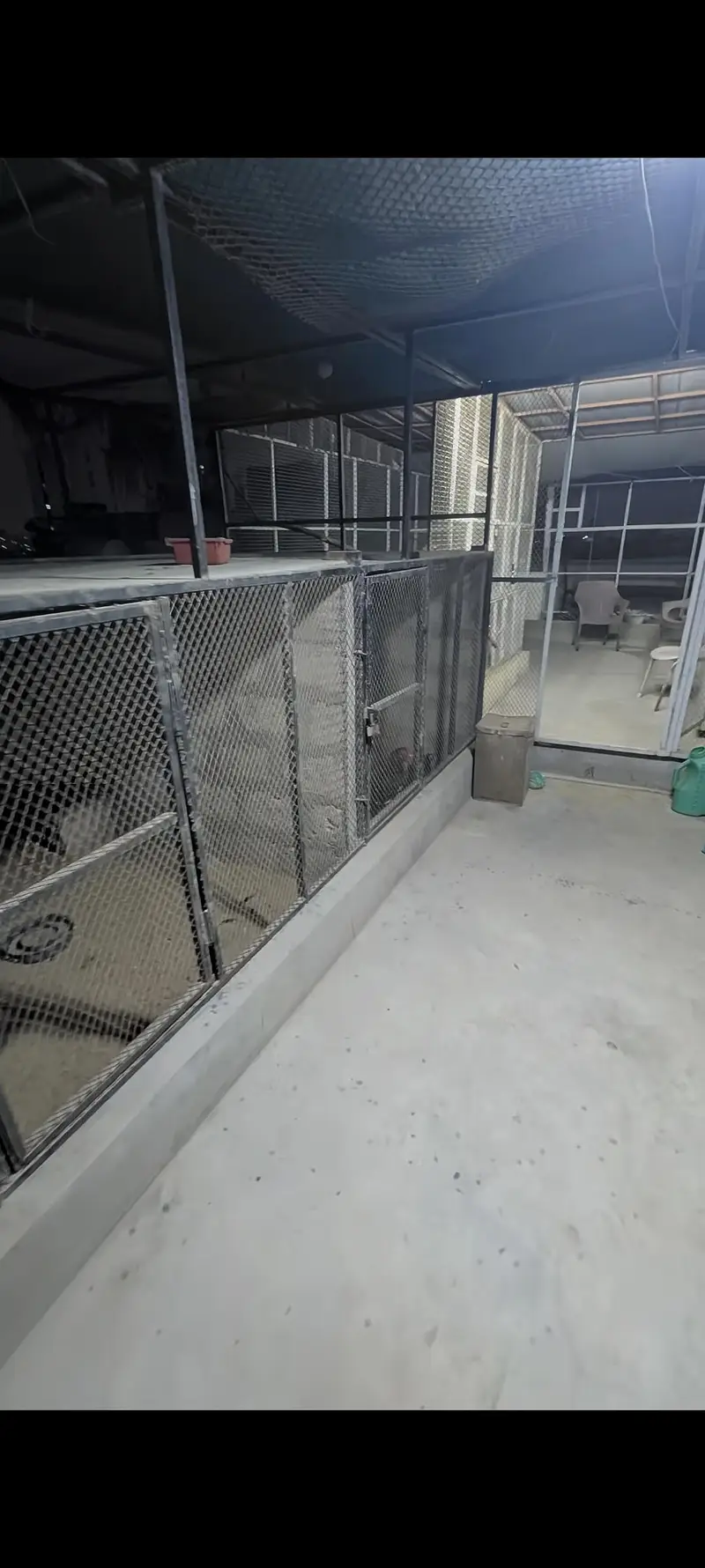 Master cage — photo 7